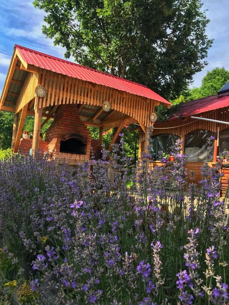 La 3 Stejari, Calimanesti 호텔 Salatrucel 외부 사진